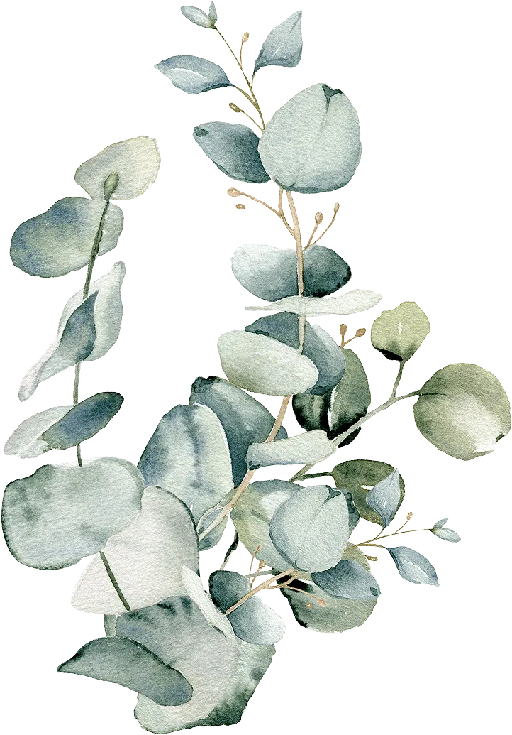 ブライダルサロンHISAYO