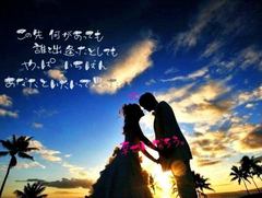 婚活 新規登録者 12月実績 