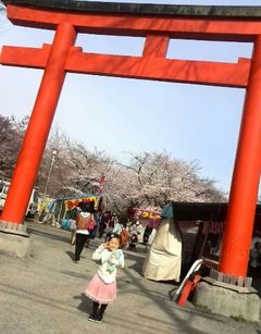 お花見　サロンの休日