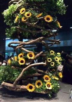 お見合い必勝法　その③