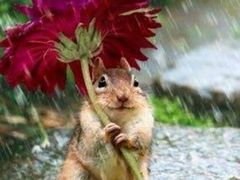 お盆休みの婚活事情