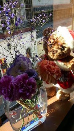 イケメンスカウト