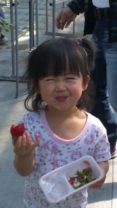 １年、また１年、また誕生日