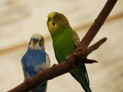 婚活　キャリア女性　運命は自分次第