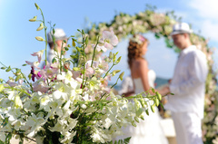 本日のお見合いと著書「寿代流婚活」について