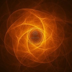 出ました！ 運命の出逢い