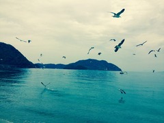 一泊婚活ツアー ファシリテーター