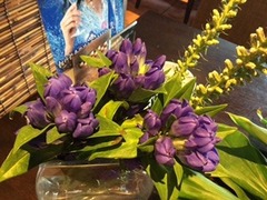 一年婚活って？もし、あかんかったらどうなんよ？