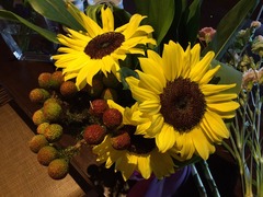 私はお見合いを繰り返して出会えるんでしょうか？