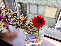 寿代流婚活 女子セッション《NPOライフプランニング主催》