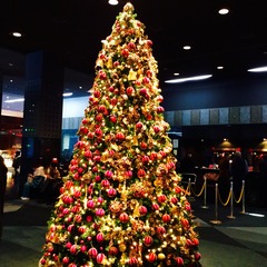 仲人のつぶやき