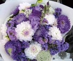 婚活　近況報告