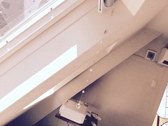 母の日と代表近況報告