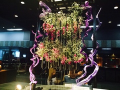 〇〇〇〇〇と結婚は簡単にできる