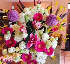 見合いの勝率xoxo