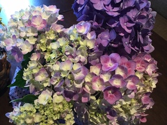 グイグイ押す男、どんどんドン引き女