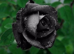 低迷  気持ちの波