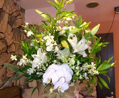 昨日、今日、寿代の発した言葉達抜粋