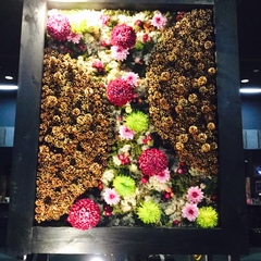 笑い屋DE婚活パーティーからの、、、おぉ！