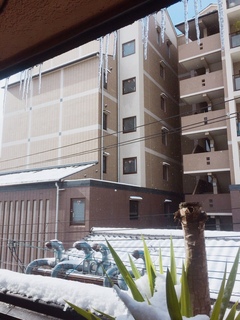 大雪の出逢い、見合い、お引き合わせ！