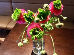 平日の夕方は、こんなお見合い♡