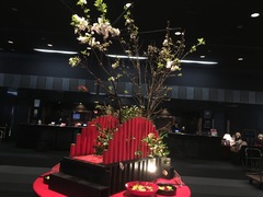 つぶやきブログ@HISAYO