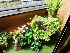 出逢い、芽吹く季節！