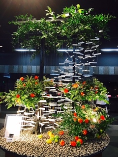 夏のお見合い 注意点