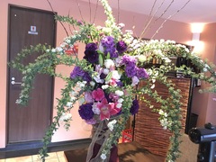 28歳女性ご入会、39歳女性ご成婚退会