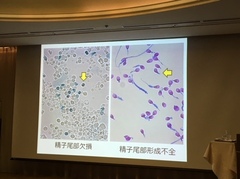 精子です！いきなりすみません