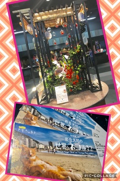 京都でお見合い活動 今年中に出会う♡