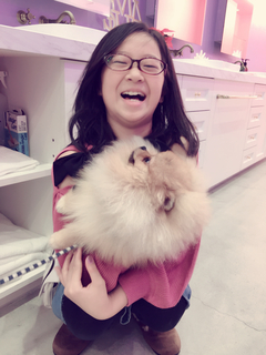 シンクロニシティ