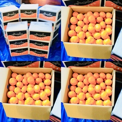 【重要なお知らせ】婚活イベントご参加の皆様へ